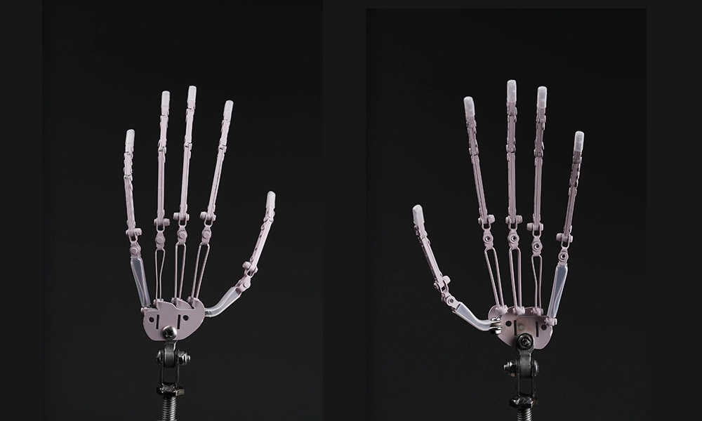 Zelex Inspiration 2.0 : les mains